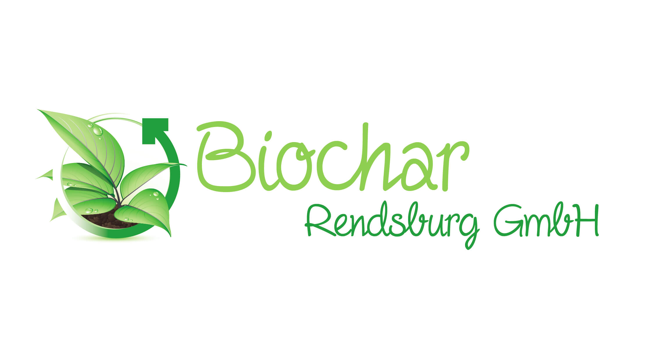Logo Biochar Rendsburg GmbH