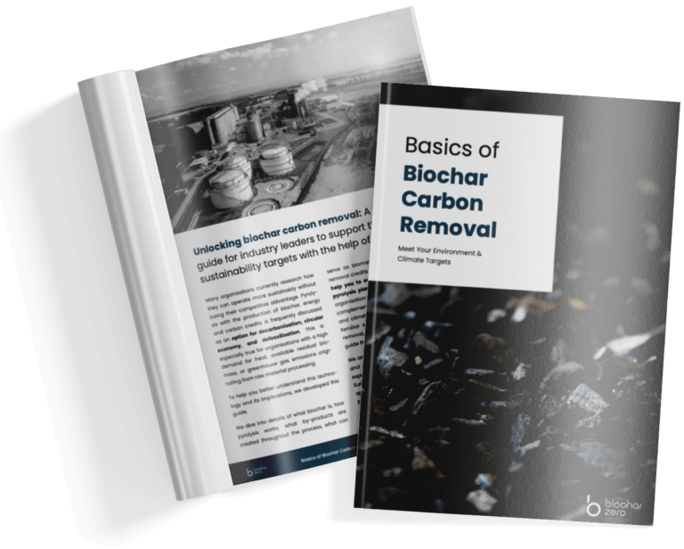 Cover and first page of basics of biochar carbon removal guide